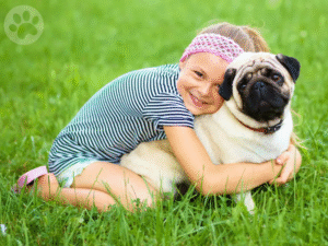 Pug crianças